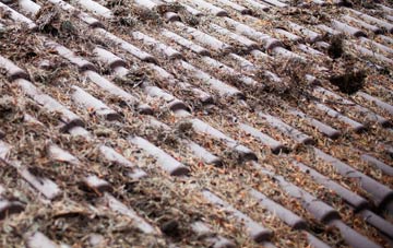 Parc Hendy roof cleaning companies