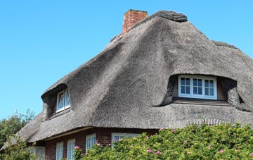 thatch roofing Parc Hendy, Swansea