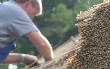 professional Parc Hendy thatchers